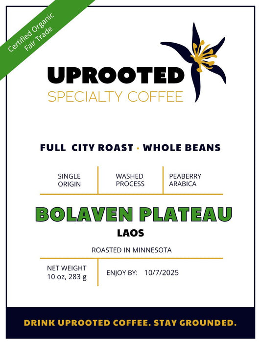 Bolaven Plateau (Certified Organic, Fair Trade)